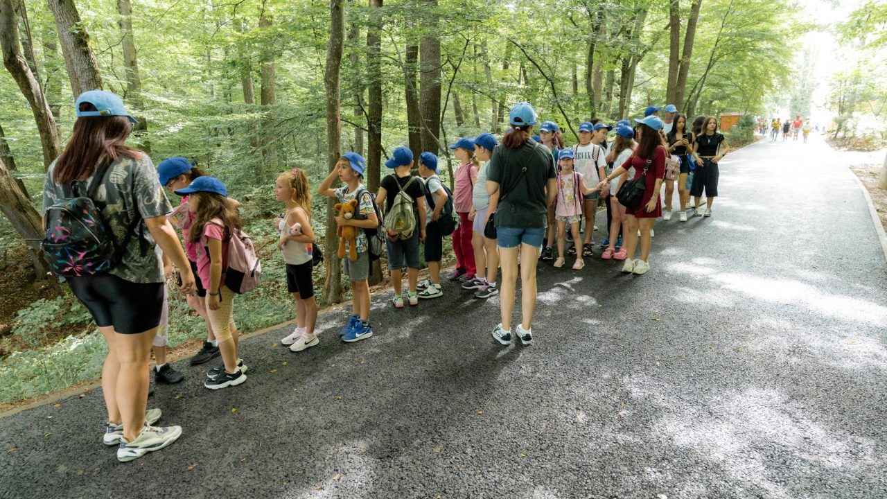 GDS Summer Camp 2024: O Aventură de Neuitat în Inima Naturii!