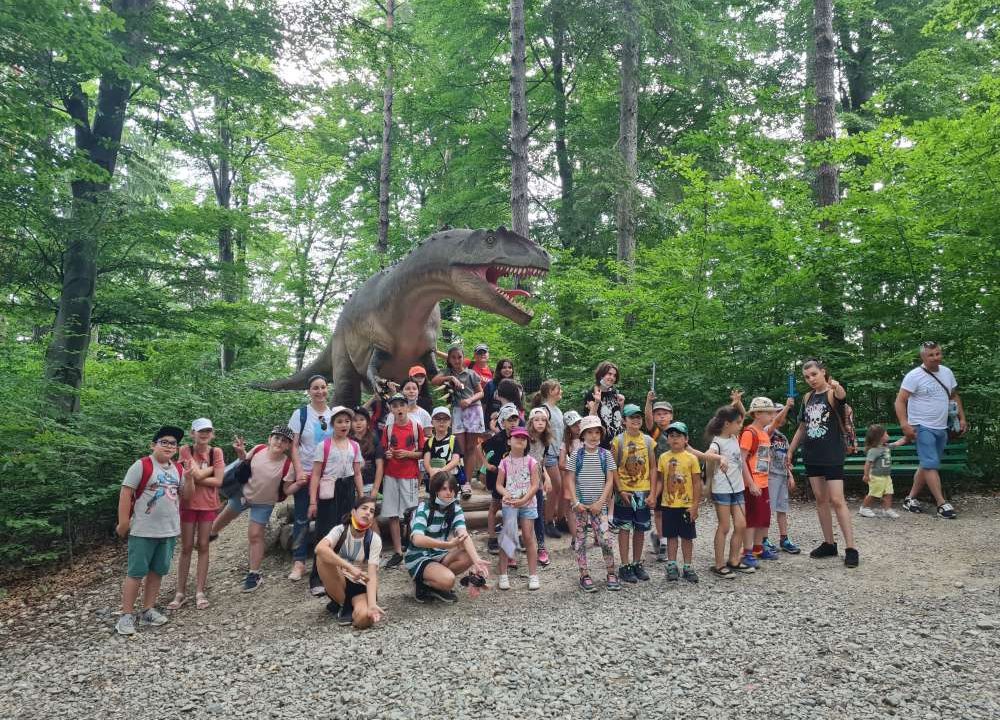 GDS Summer Camp 2021: O Vară Plină de Provocări și Engleză